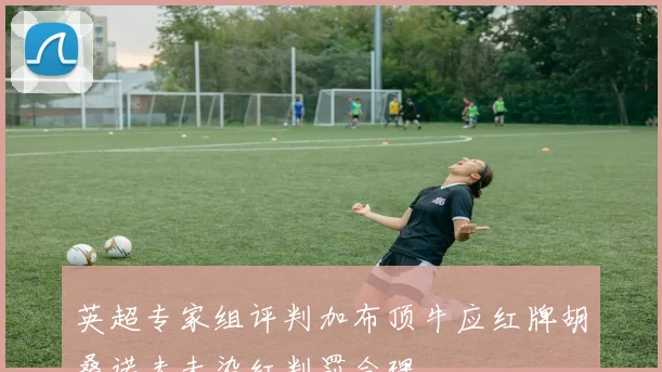 英超专家组评判加布顶牛应红牌胡桑诺夫未染红判罚合理